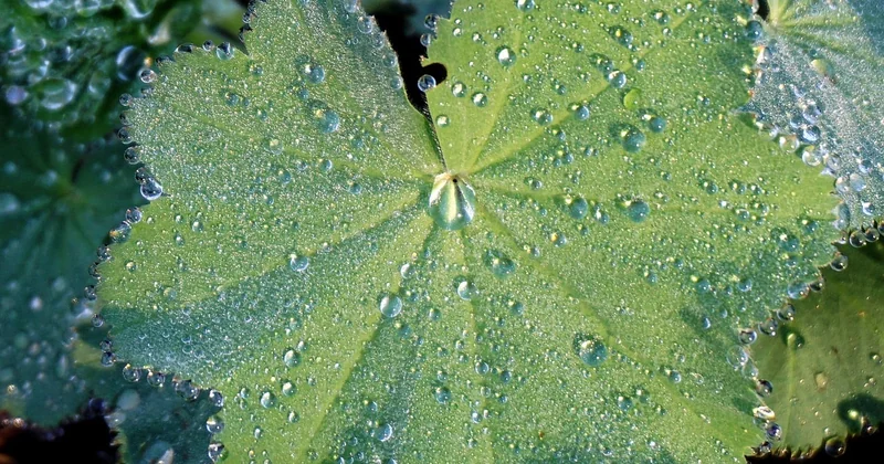 L'hydratation, un facteur souvent sous-estimé