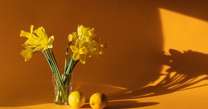 Boissons hydratantes maison pour les musiciens : 7 recettes qui boostent votre voix